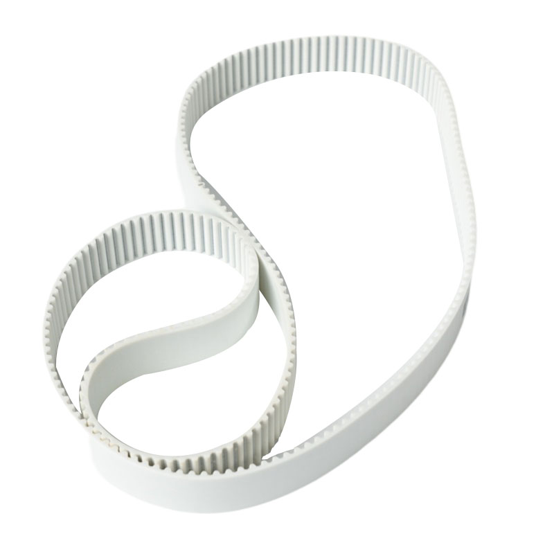 STD5M Joined Belt